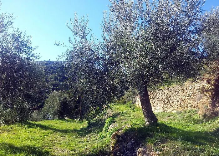 Alojamento de Turismo Rural C'era Volta Camporosso (Liguria)